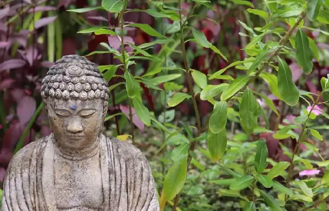 Buddha